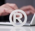 GUARD: A Practical Model for Trade Mark Protection